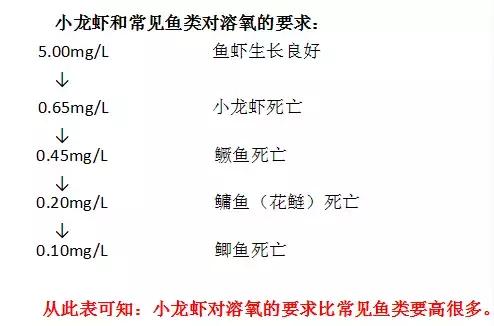 专业！小龙虾专家舒新亚教你有效避开小龙虾养殖中的“技术坑”！