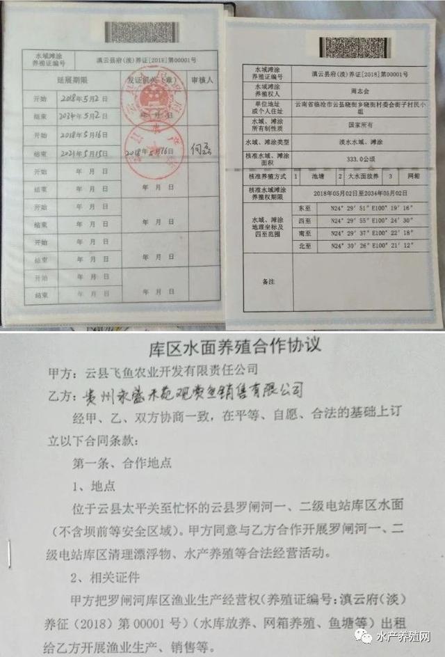 百万斤水库鱼死了，承包户损失600多万元！原因在哪？应该谁来负责？