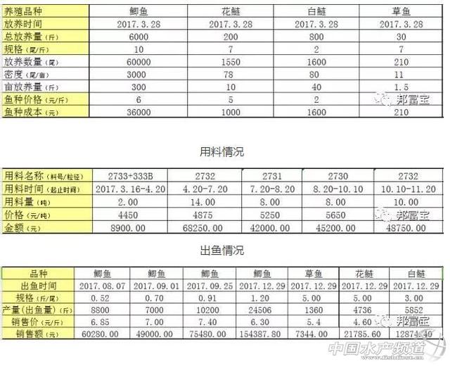 江苏兴化大兴村的鲫鱼鱼贩抢着要，这是为何？