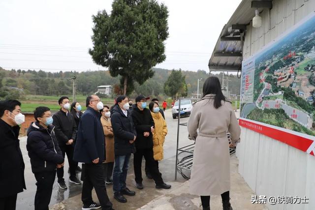 喜报！铁骑力士光辉原种场获评国家级非洲猪瘟无疫小区