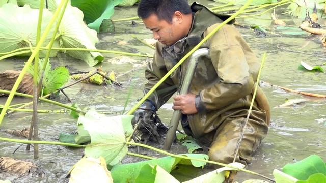 桐梓东山社区：种养结合走出绿色“致富路”