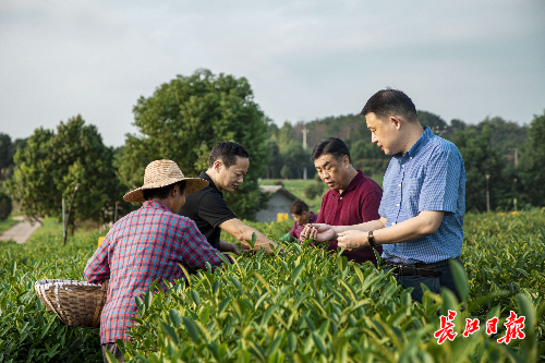 “红色头雁”动员能人抱团回乡，帮助村民共同富裕