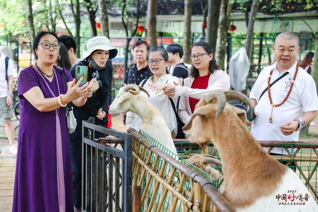 他们吹起口哨，与增城的小袋鼠来了一场“跨物种”对话