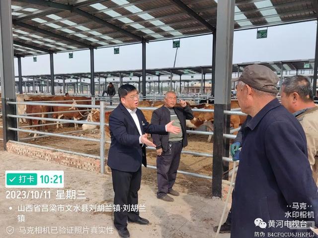 “肉牛贷”助力“肉牛养殖”顶起“致富天地”！