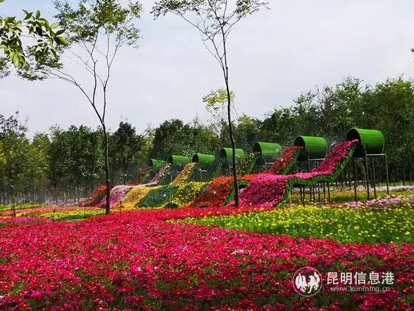 来花仙子花园，走进遍地鲜花的童话世界