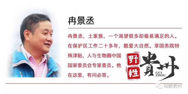 蟾蜍青蛙傻傻分不清？不光看外形，“赖格宝”主要区别在这里……