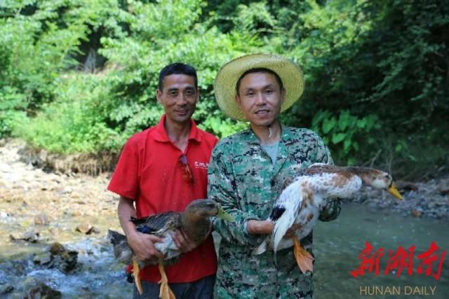 指尖一点消销愁，土鸭飞出山窝窝