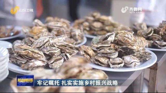 小牡蛎大产业 乳山通过科技创新和品牌建设年产牡蛎38万吨产值30亿元