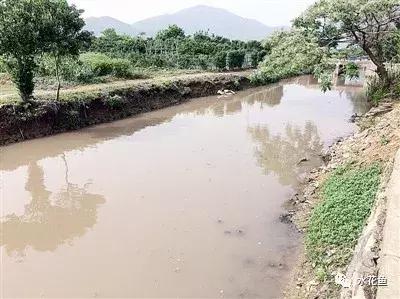 水产养殖遇到暴雨雷阵雨，缺氧浮头，水质恶化该如何应对