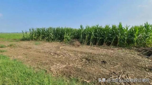 租用万亩基本农田建设养殖场，律师解读“以租代征”不可行