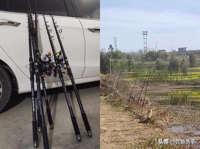 草鱼为何难钓？分析原因从它的生活习性入手，改变作钓思路是关键