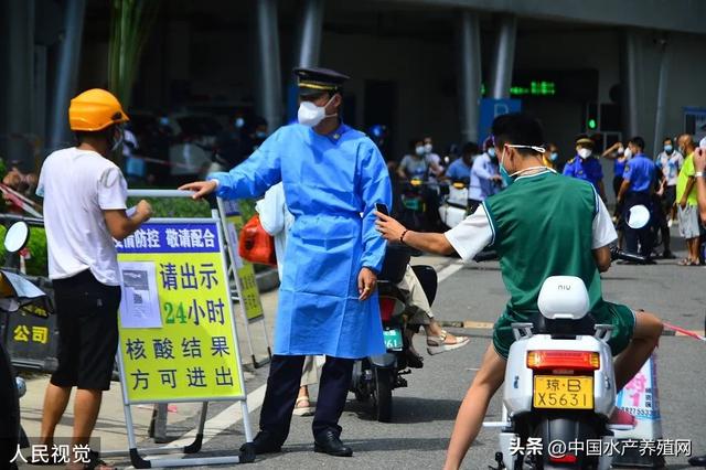 8月初鳜鱼鲈鱼牛蛙强势上涨，黑鱼黄颡鱼鮰鱼稳定，草鱼鲫鱼微跌