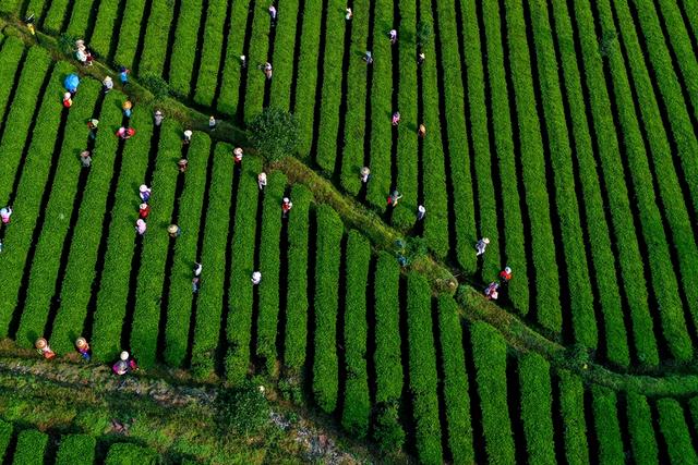 “湘村老家 最忆怀化”怀化发布十大特色乡村“微度假”旅游产品