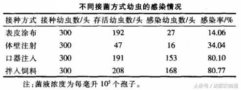 冬虫夏草人工可栽培，但尚未完全成功