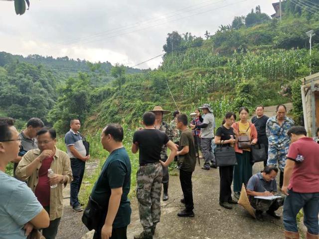 龙城高速开局全速“犇”跑——龙城欲北隔千障，路桥越险勇向前