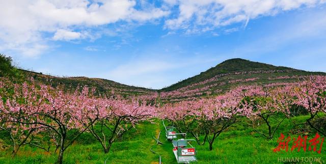 老支书眼里的新变化④冷水江市光明村党支部原书记刘登照：光明新村大放光明