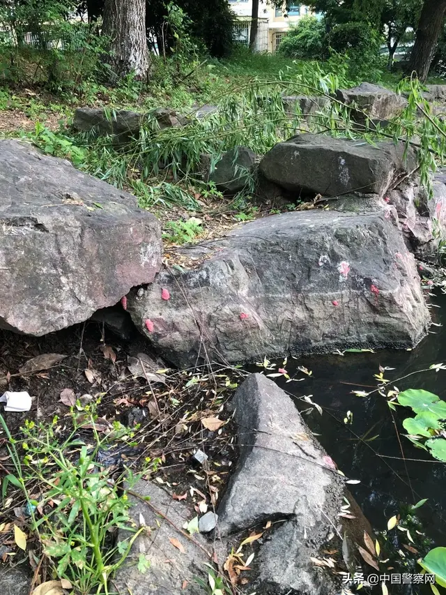 这种东西别误食！寄生虫多达6000条，严重可致死！