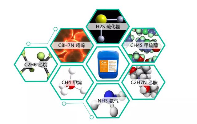 「创澳分享」养殖场苍蝇多是什么原因，有什么办法可以驱避蚊蝇？