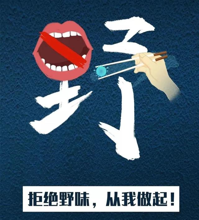 哪些动物可以食用？养殖户如何补偿？湖南正在修改这部法规