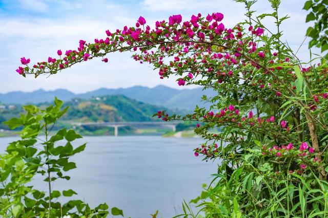 五宝：都市“桃花源”乡村新盛景