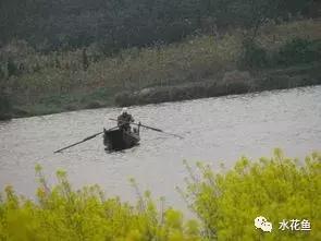 水产养殖遇到暴雨雷阵雨，缺氧浮头，水质恶化该如何应对