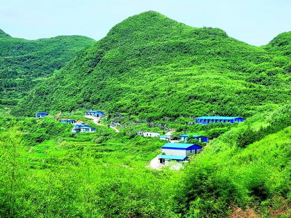 全州东山： “空中”养殖黑山羊 致富之路“喜羊羊”