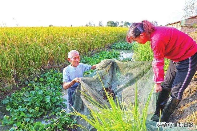 “中国黄鳝之都”，今天的张沟超给力