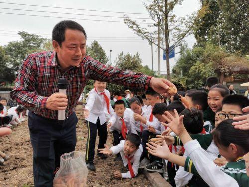 金华婺城：绿色校园农耕乐，生态教育润童心