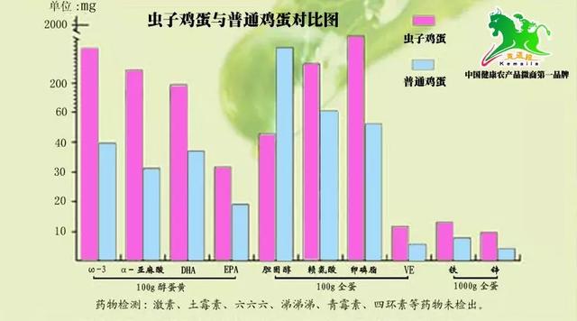 虫子鸡养殖产业大事记，虫子鸡专用品种选定，百科词条要修改了