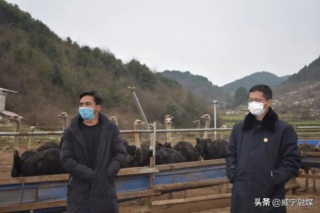 威宁检察院对县境内14家野生动物饲养繁育场所开展防控检查