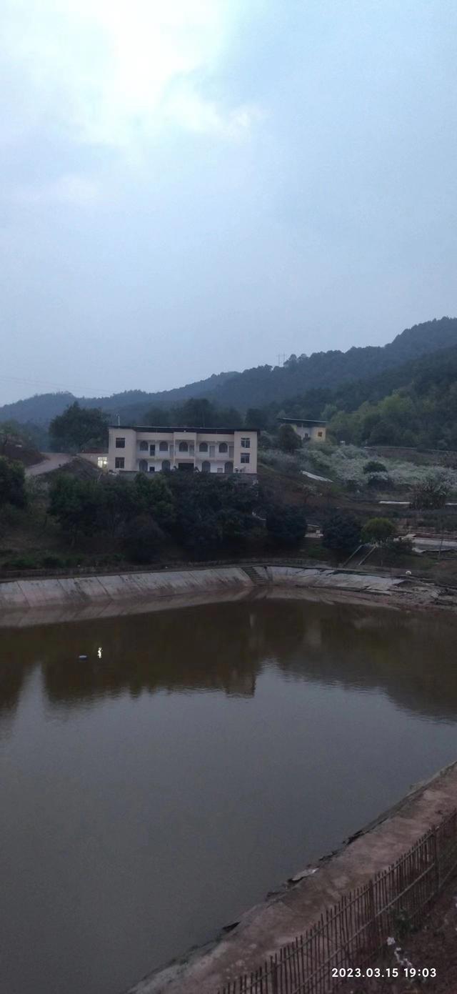 重庆市巴南区萍娇淡水鱼养殖场