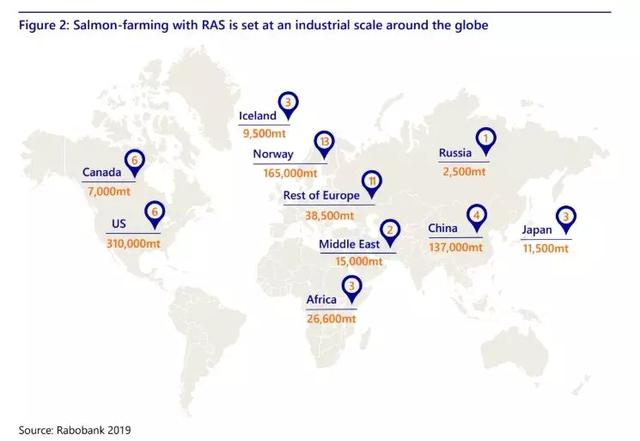 荷兰合作银行积极评价RAS三文鱼养殖业的未来，呼吁全球生产商投资