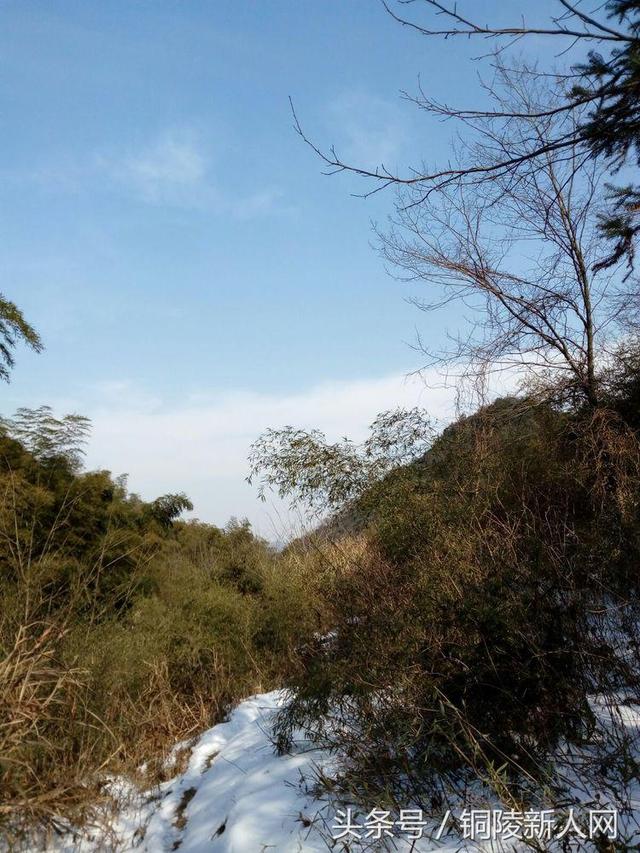 「铜陵视角」踏雪寻春 徒步“云崖寺”