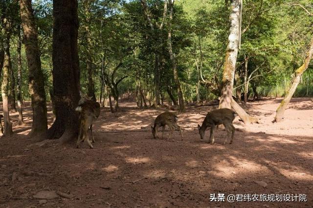 云南三国庄园规划，打造绿色立体生态经济的领头军