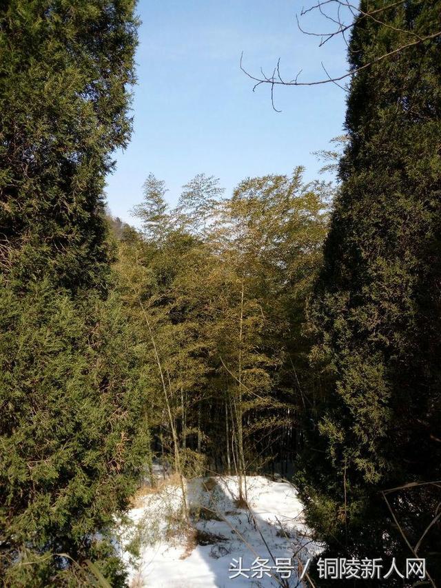 「铜陵视角」踏雪寻春 徒步“云崖寺”