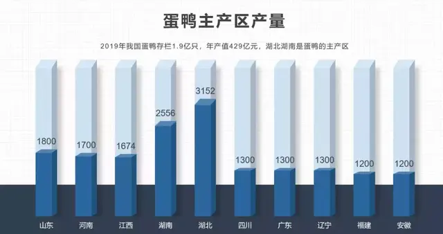 蛋鸭养殖场(存栏19亿羽，年产值429亿元的蛋鸭如何养？)