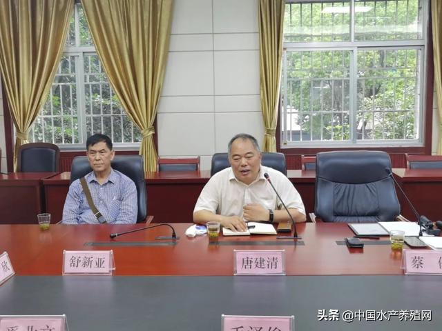 小龙虾隐忧频现，良种选育和养殖模式如何提升？专家探寻解决之道