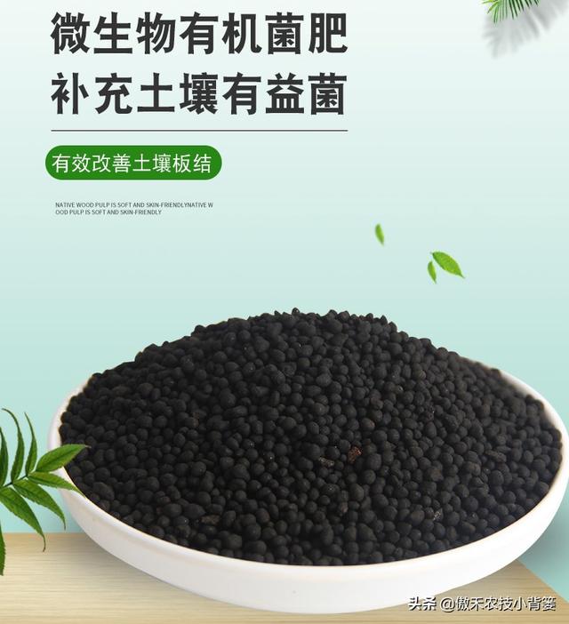 菌肥：一年用几次？什么时间用？每次用多少量？怎样使用效果好？