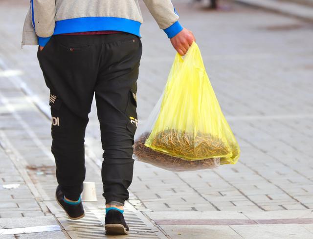 中国最大的冬虫夏草市场—西宁玖鹰虫草市场