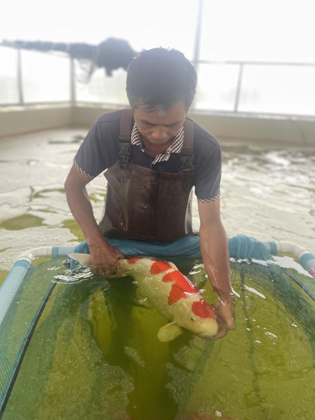 推广水产生态健康养殖，广州白云两家企业入选国家级骨干基地