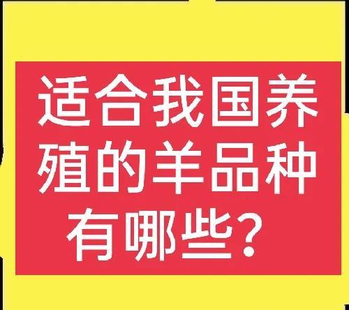 想养羊的看过来，这些品种很不错，建议收藏