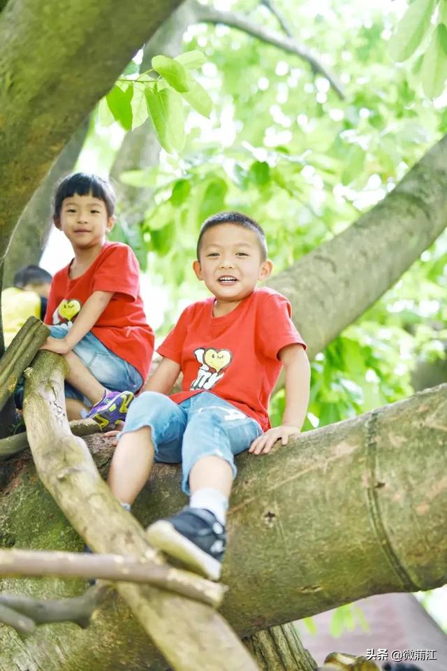 走进家门口的好学校幼儿园系列之一：蒲江县南街幼儿园