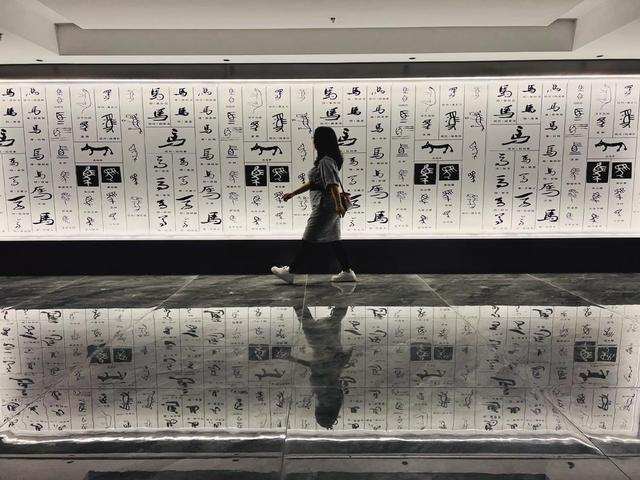 “中国马城”点亮包头发展新名片