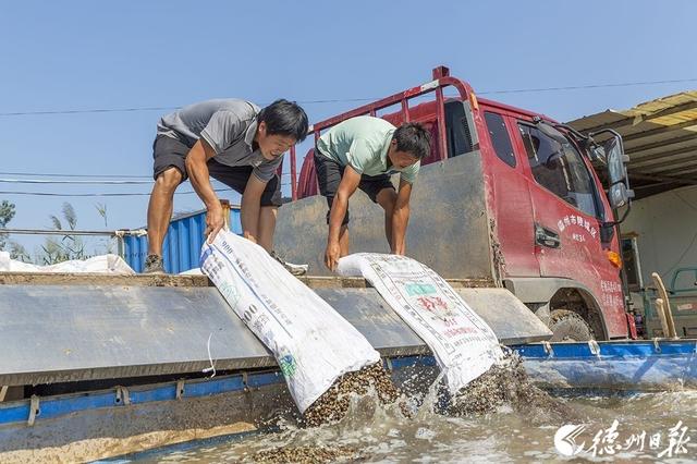 “软黄金”敲开致富门