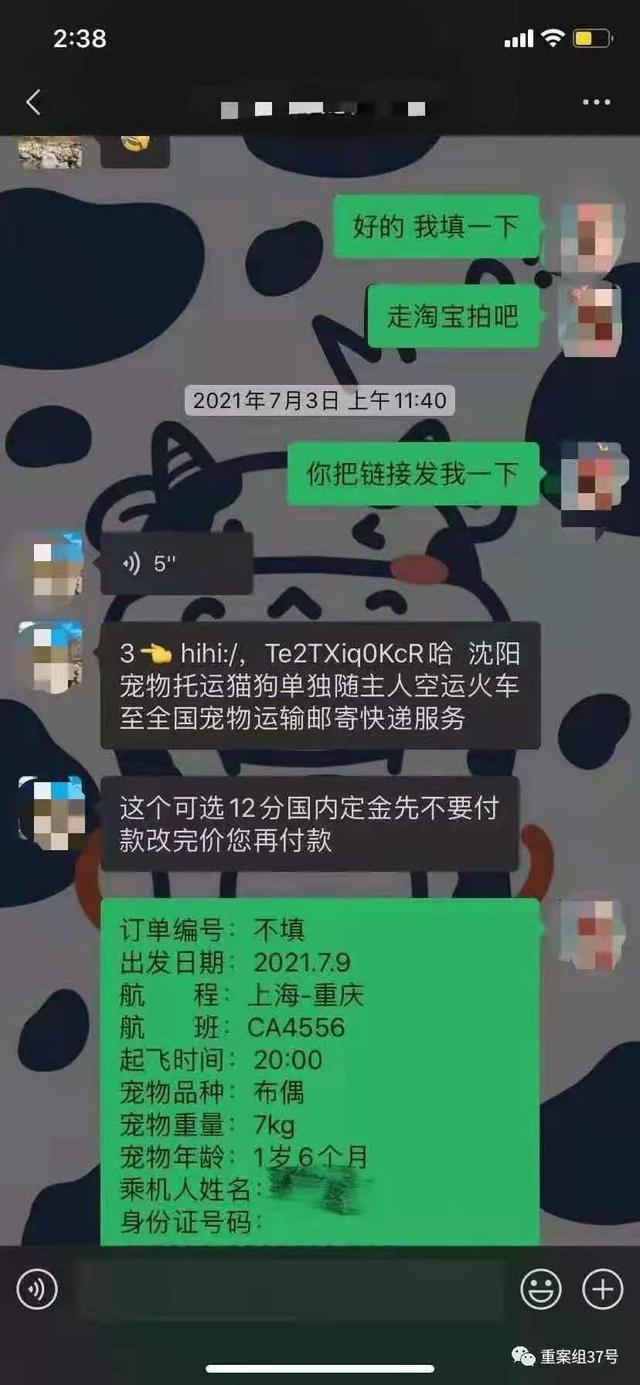 金毛犬之死背后的宠物托运乱象：空运改陆运，违规“代办”检疫证