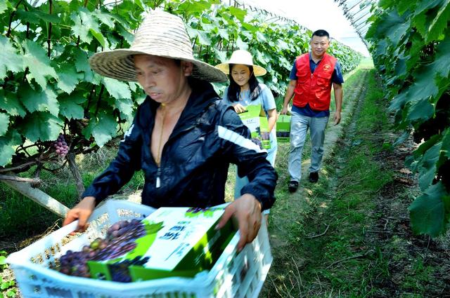 江西鄱阳：党建+村级集体经济助力乡村振兴