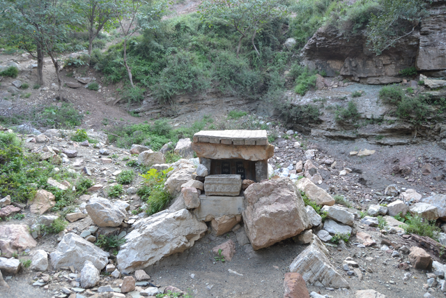 永济吴阎麻坪，高山之上进行养殖，村民收获颇丰