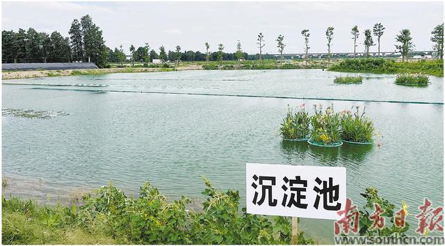 小池塘改出绿色养殖新天地