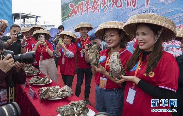 广西钦州：发展蚝产业助力乡村振兴