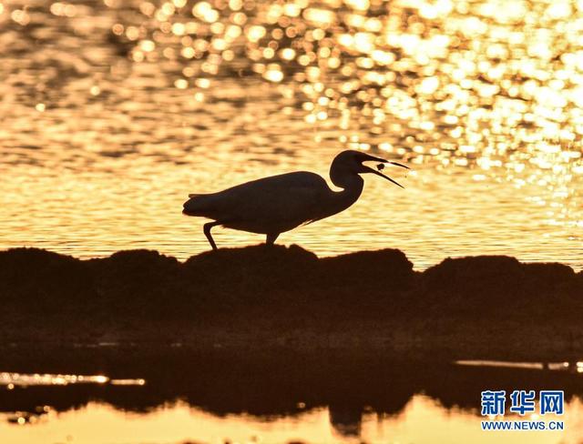 镜观中国·新华社国内新闻照片一周精选